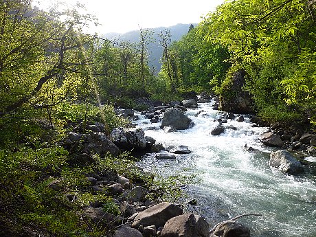 高原川水系　跡津川釣行①_e0198329_985298.jpg