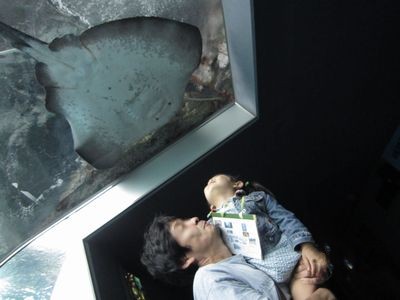 d0160932_062471.jpg