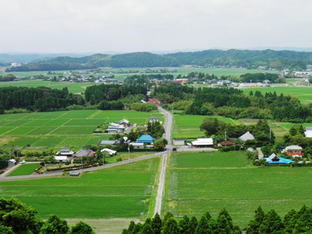 初夏の万木城周辺散策_a0123836_1813616.jpg