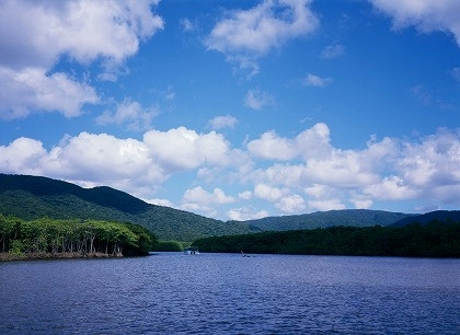 f0124737_6111955.jpg