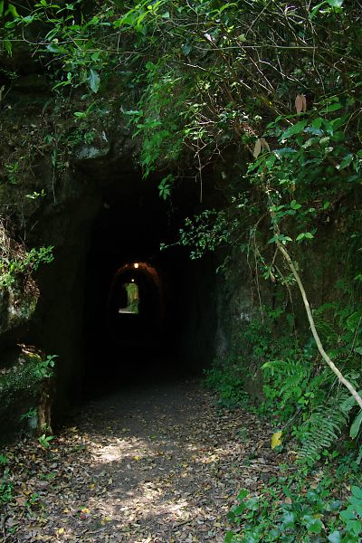 新緑の峡谷ウォーキング　（三宮峡）_a0031741_20495831.jpg