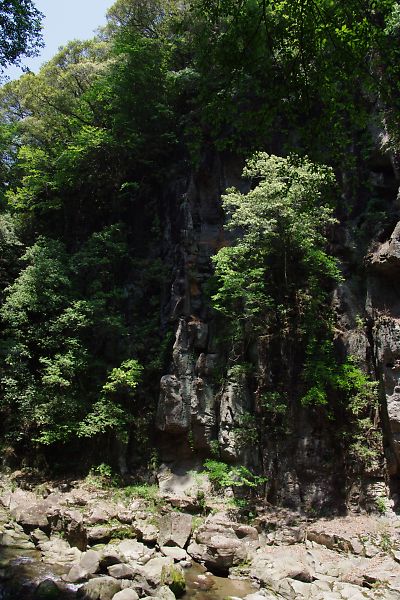 新緑の峡谷ウォーキング　（三宮峡）_a0031741_20501185.jpg