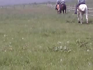 e0145441_21155529.jpg