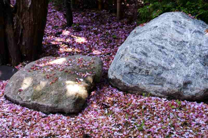 天神山緑地とその周囲　　①_f0119643_850983.jpg