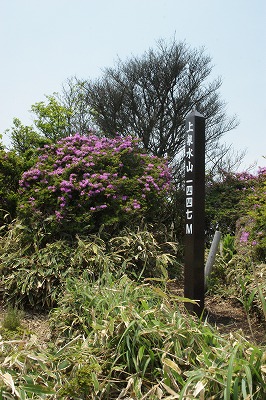 「泉水山から黒岩山へ」（３）_f0201348_18232414.jpg