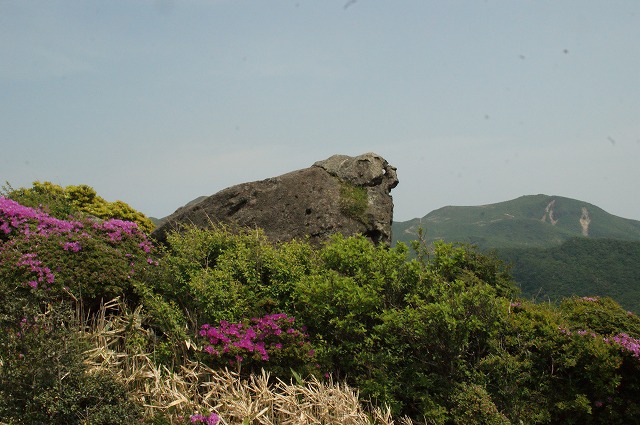 「泉水山から黒岩山へ」（３）_f0201348_18494463.jpg