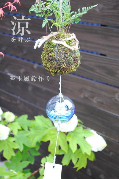 【WORKSHOP】涼を呼ぶ「苔玉風鈴」作り/参加者募集_e0130953_954247.jpg