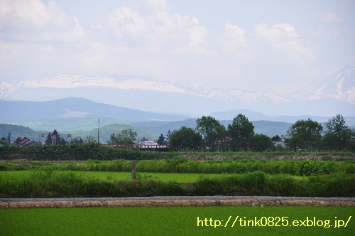 a0105160_18134661.jpg