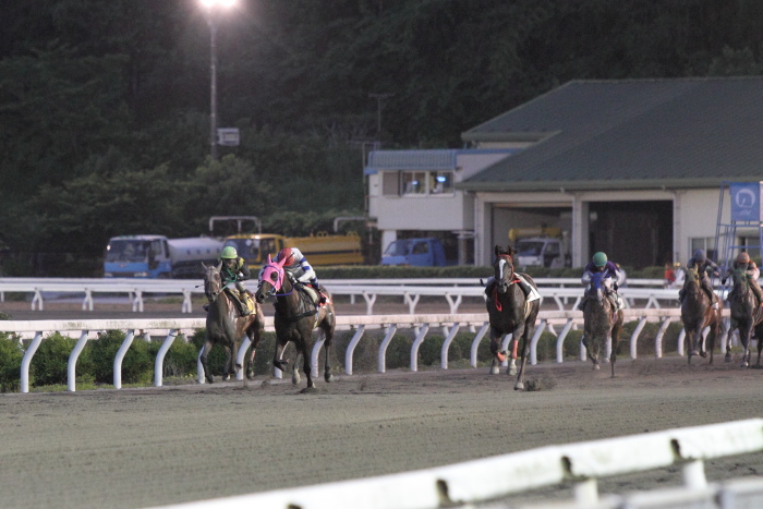 2011年6月4日（土） 高知競馬 8R B-4 その2_a0077663_19583135.jpg