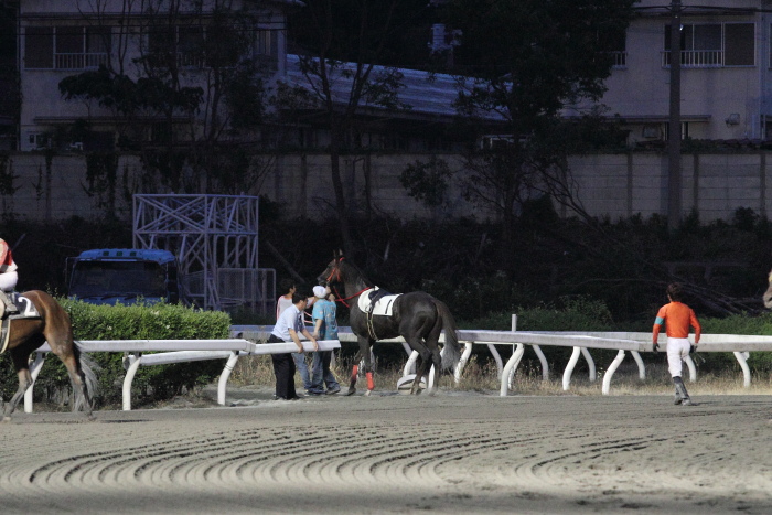 2011年6月4日（土） 高知競馬 8R B-4 その2_a0077663_19593097.jpg