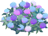 a0052666_218376.gif