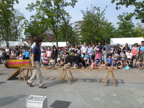 『イザ！カエルキャラバン！in 川口市』_c0036272_1942165.jpg