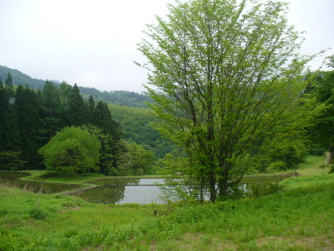 おばちゃん達の気まま旅_d0217072_10292326.jpg