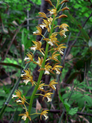 f0083977_21342121.jpg