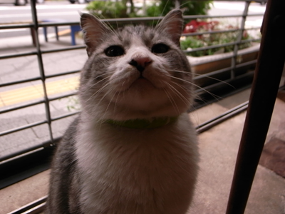 透明?_a0180681_1954077.jpg