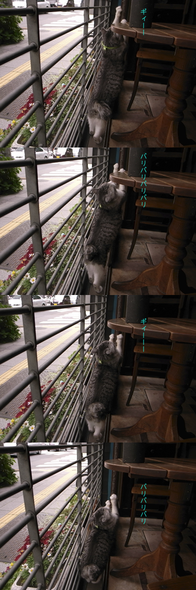 透明?_a0180681_19541112.jpg