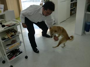 ライトスティック_f0172281_6151110.jpg