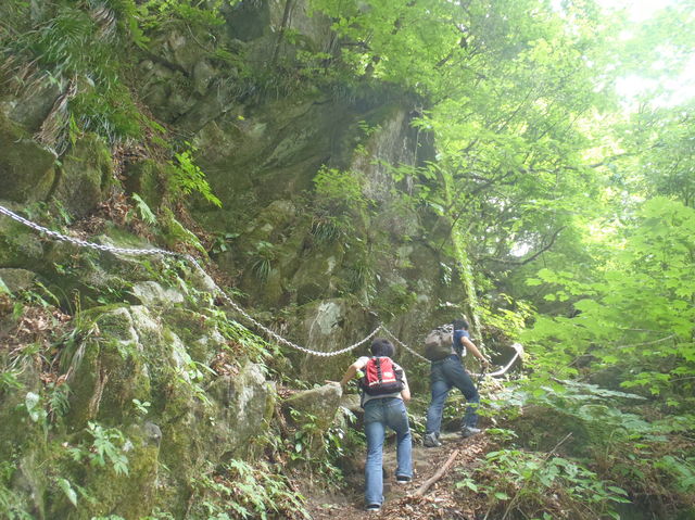 山登りしてきました in尾白川渓谷_b0189682_1450566.jpg