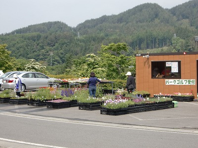 花フェア!!_b0219993_1355201.jpg