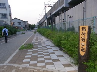 2011年6月9日（木） ； 晴れ～曇り～雨_d0051601_135050.jpg