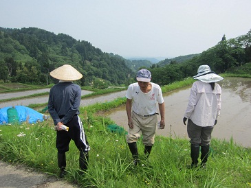 壱醸　田植え_d0180602_11401078.jpg