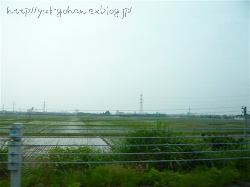 f0233410_11542044.jpg