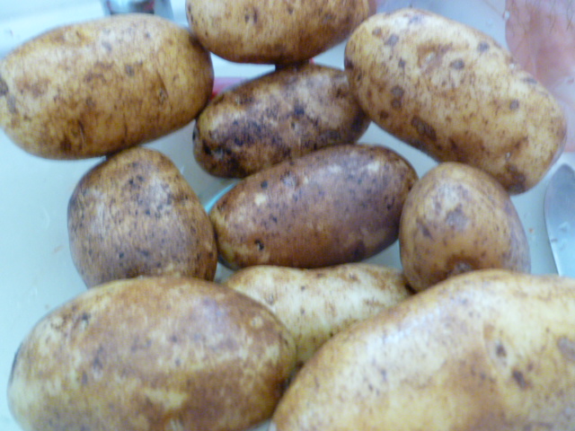 a0144811_533037.jpg