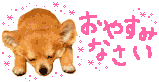 e0235012_964884.gif