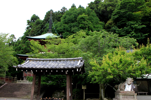 法輪寺 こくぞうさん_e0048413_204035.jpg
