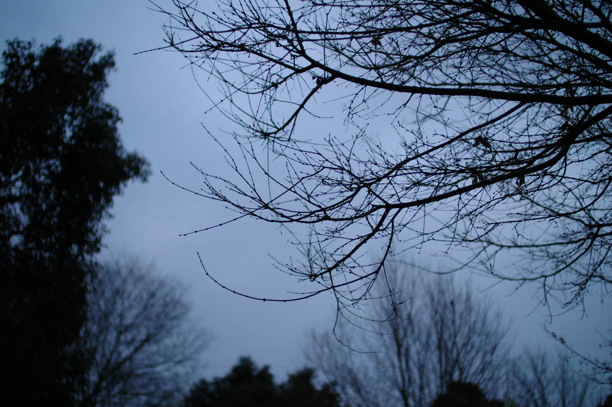 雨雨雨_b0125014_0521386.jpg