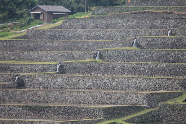 もうすぐ田植え_d0009116_14263168.jpg