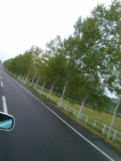 f0126121_0141932.jpg