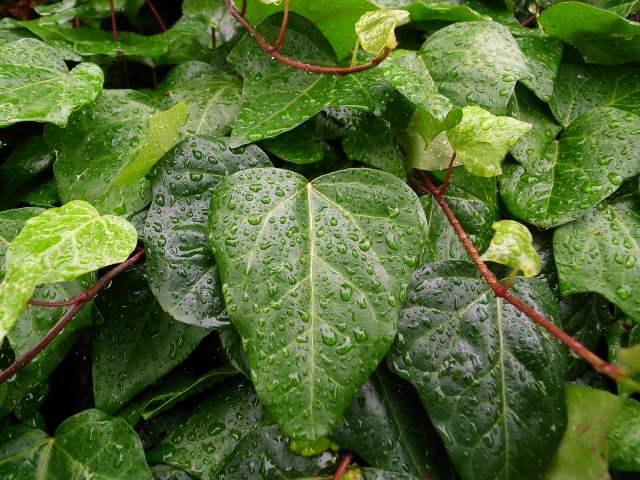 f0209122_11522817.jpg