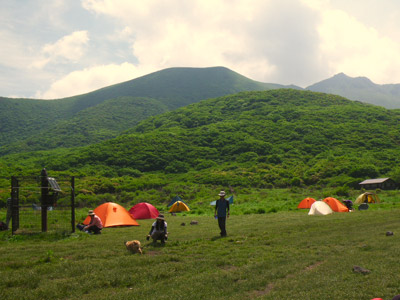 a0166940_1036784.jpg
