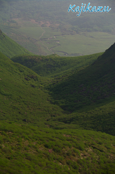 a0166940_85881.jpg