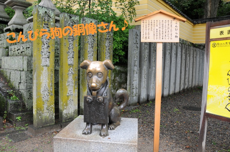 c0147241_9201344.jpg
