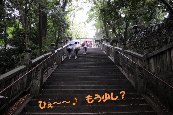 c0147241_9205518.jpg