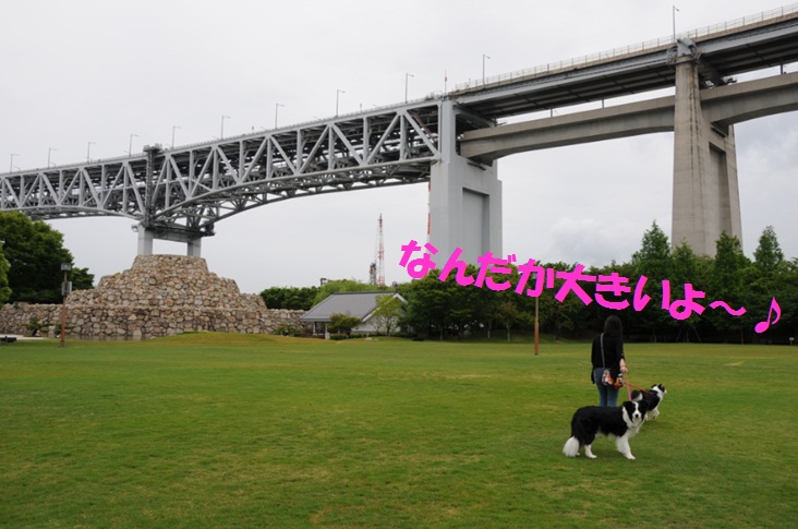 c0147241_922194.jpg
