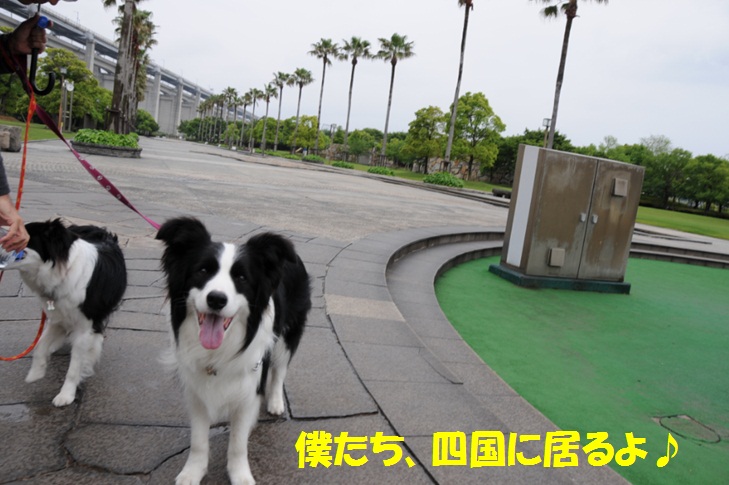 c0147241_9223289.jpg