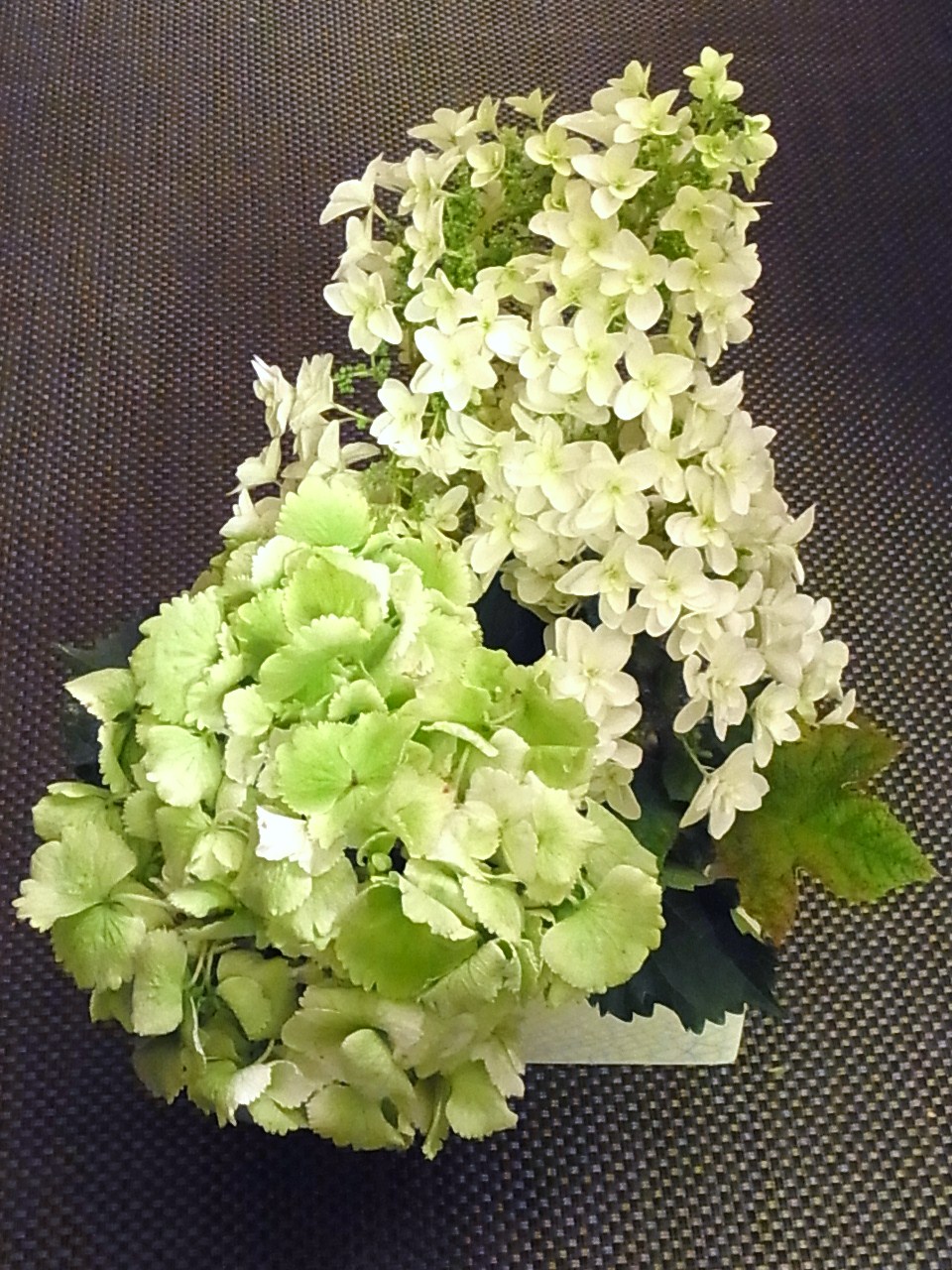 a0219446_20202324.jpg