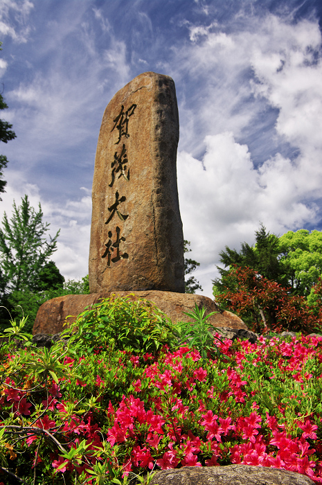 雲踊る(上賀茂神社)_f0155048_21182621.jpg