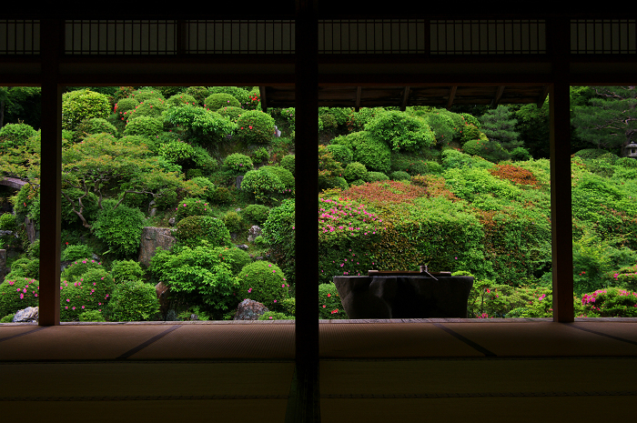 サツキ咲く智積院_f0155048_22502191.jpg