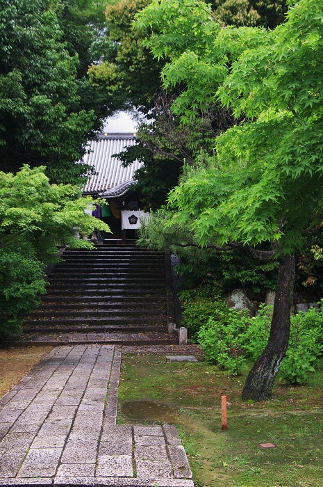 サツキ咲く智積院_f0155048_22503838.jpg