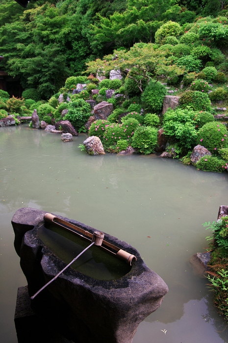 サツキ咲く智積院_f0155048_22505310.jpg