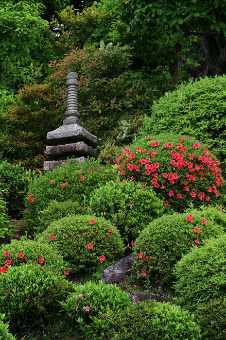 サツキ咲く智積院_f0155048_23111665.jpg