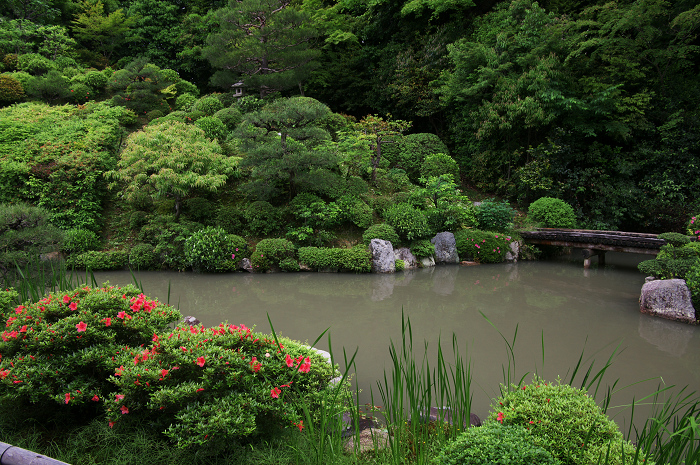 サツキ咲く智積院_f0155048_23112945.jpg