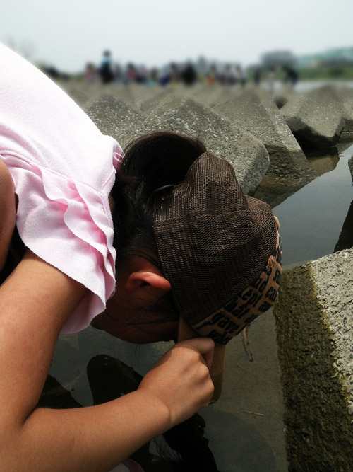 せたがや水辺の楽校 「遅い川遊び」_f0196649_359469.jpg