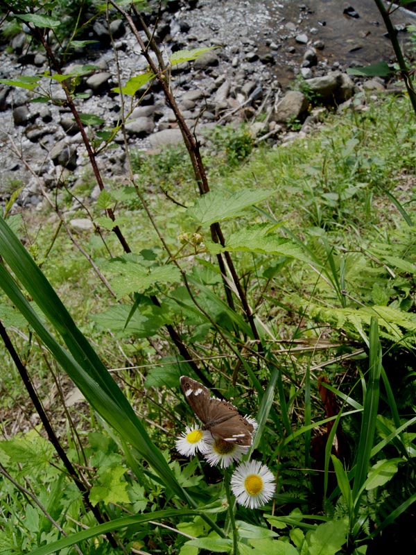 c0045352_2136158.jpg