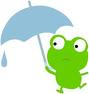傘の日はいつも雨_f0053757_21505770.jpg