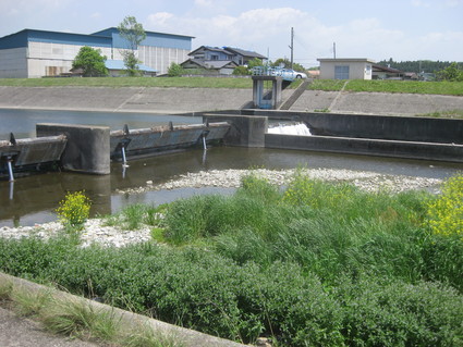 企画「大田原をもっと知ろう!」・・・その7、城山①。_b0063162_23135581.jpg